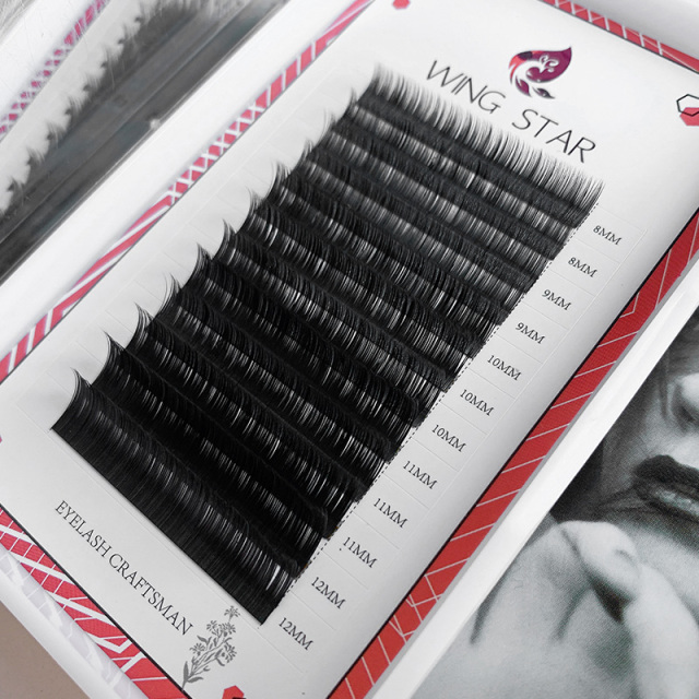 Eyelash Extension Black Introduction
