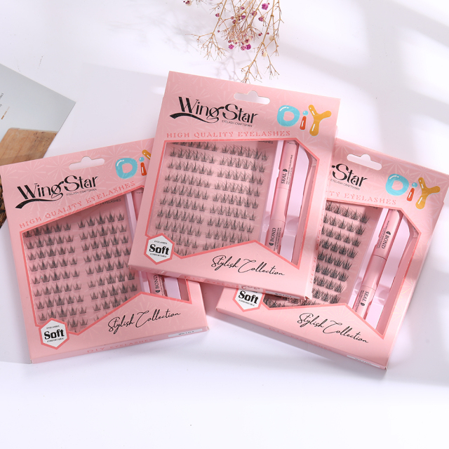 Lash Kit-6 introduction