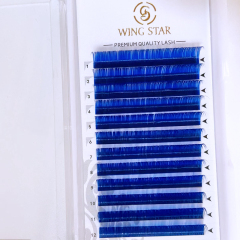 Colored Eyelash Extension Introduction