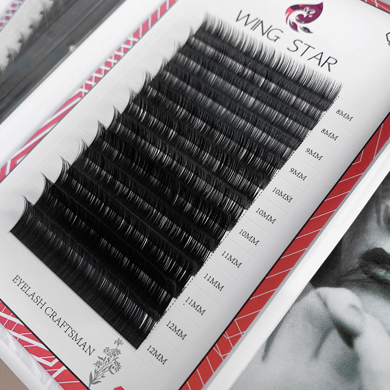 Eyelash Extension Black Introduction