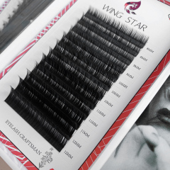 Eyelash Extension Black Introduction