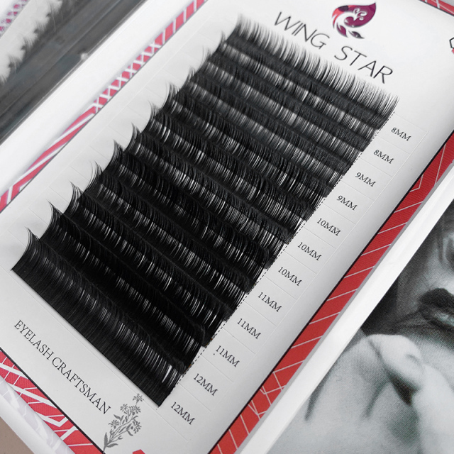 Eyelash Extension Black Introduction