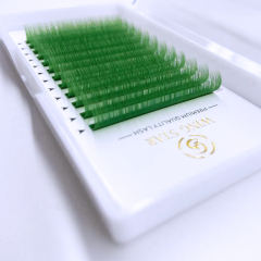 Colored Eyelash Extension Introduction