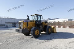 SEM655D Wheel Loader