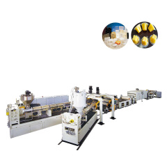PP PS EVOH Sheet Extrusion Line