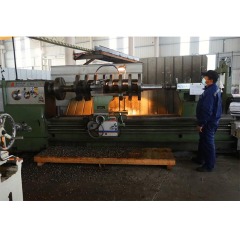 Jwell DYPS-X/M profile/WPC series special crusher