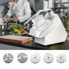 Multi-Functional Vegetable Cutter 200W 280RPM Stainless Steel Body