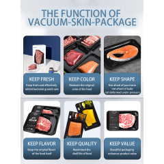 DQ305L-V Vertical MAP Vacuum Packaging Machine with 280mm Film