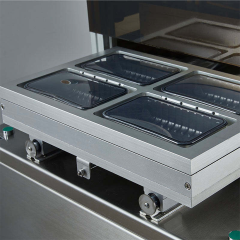 DQ440L-V Vertical MAP Vacuum Packaging Machine Gas Flush Sealer 440mm Film