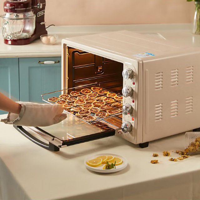 D1 25L Home Electric Oven with Independent Temperature Control and Fermentation