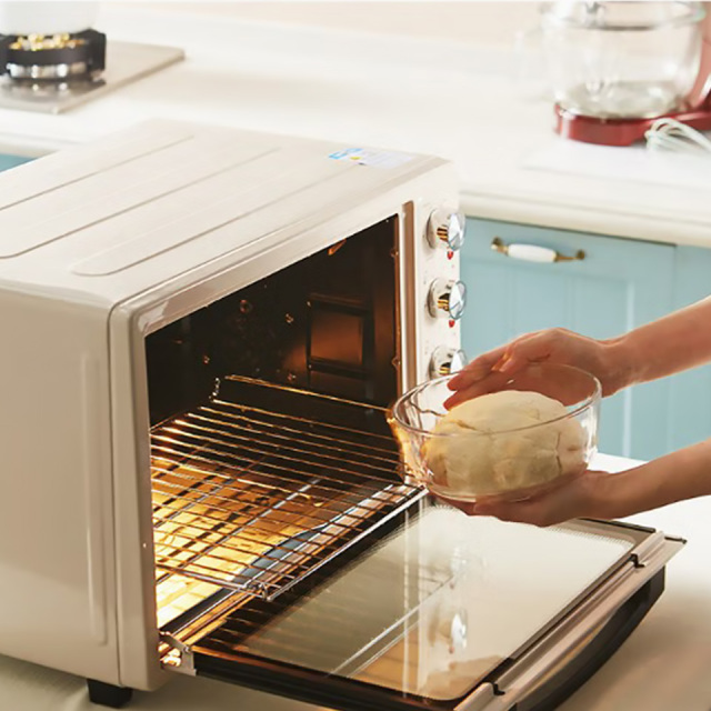 D1 25L Home Electric Oven with Independent Temperature Control and Fermentation