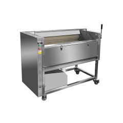 DXC-1500 Horizontal Brush Peeling Machine 600-800kg/h 1.5kW Root Vegetables