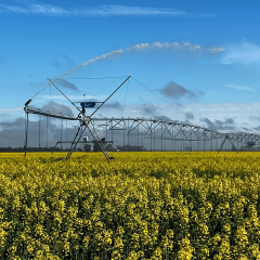 Four-Wheel Linear Move Irrigation System with GPS Guidance and Fertigation Tank