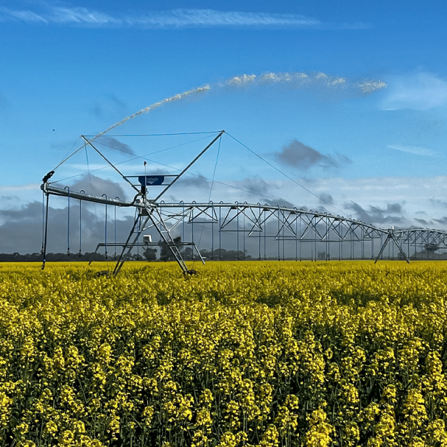 Four-Wheel Linear Move Irrigation System with GPS Guidance and Fertigation Tank