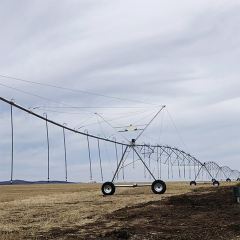 Center Pivot Irrigation System with Up to 800m Coverage for Large-Scale Farms