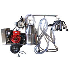 Two-Can Mobile Milking Machine 25L Stainless Steel Buckets for Dairy Farms