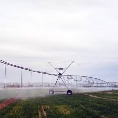 Center Pivot Irrigation System with Up to 800m Coverage for Large-Scale Farms