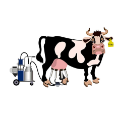 9JY Series Piston Milking Machine Single or Double Bucket for Dairy Farms