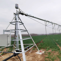 Center Pivot Irrigation System with Up to 800m Coverage for Large-Scale Farms