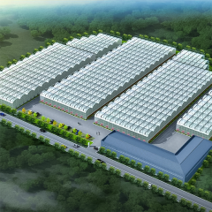 Multi-Span Film Vegetable Greenhouse 1152m² for Commercial Crop Production