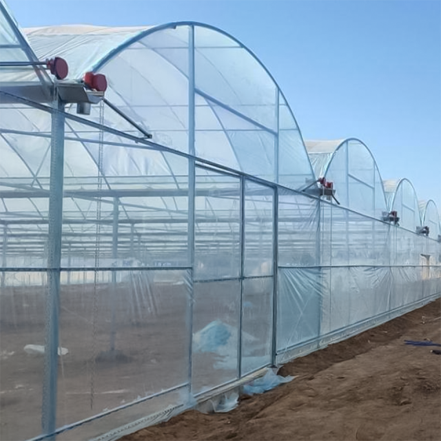 Multi-Span Film Vegetable Greenhouse 1152m² for Commercial Crop Production