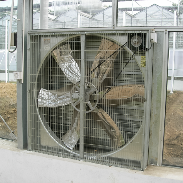 Multi-Span Film Vegetable Greenhouse 1152m² for Commercial Crop Production