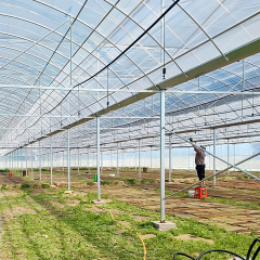 Multi-Span Film Vegetable Greenhouse 1152m² for Commercial Crop Production