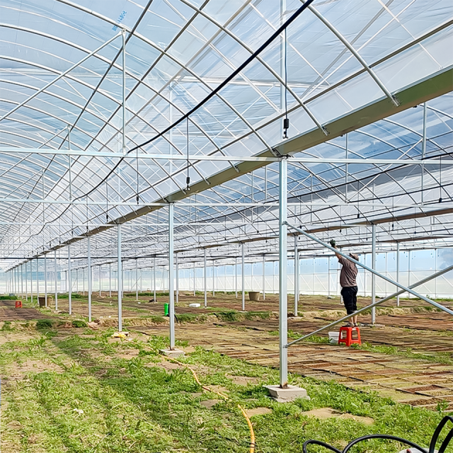 Multi-Span Film Vegetable Greenhouse 1152m² for Commercial Crop Production