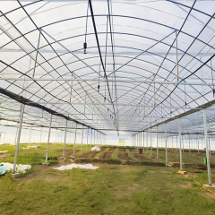 Multi-Span Film Vegetable Greenhouse 1152m² for Commercial Crop Production