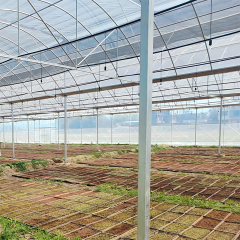 Multi-Span Film Vegetable Greenhouse 1152m² for Commercial Crop Production