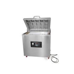 DZ-400/2E Arc Extending Chamber Vacuum Packaging Machine 400mm Seal