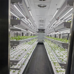40ft Container Leafy Green Growing System for Hydroponic Urban Farming