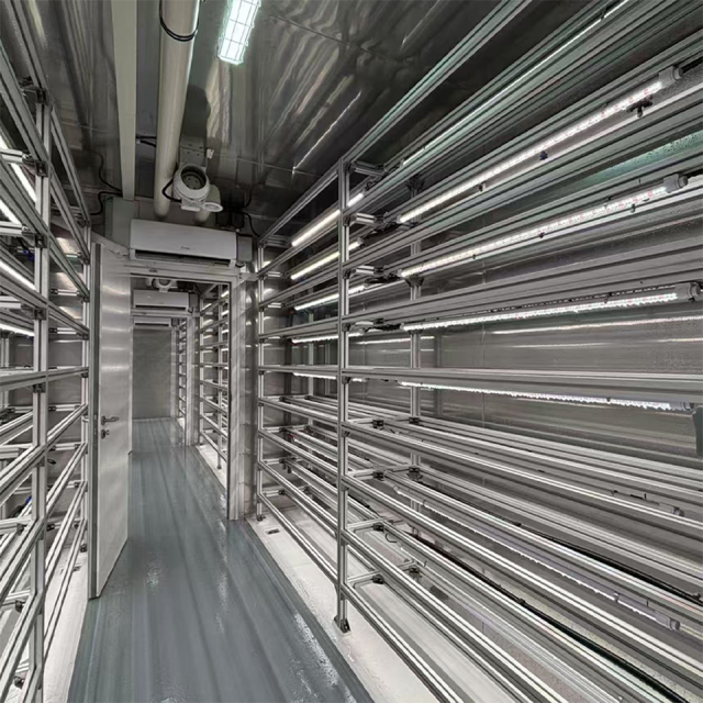 40ft Container Leafy Green Growing System for Hydroponic Urban Farming