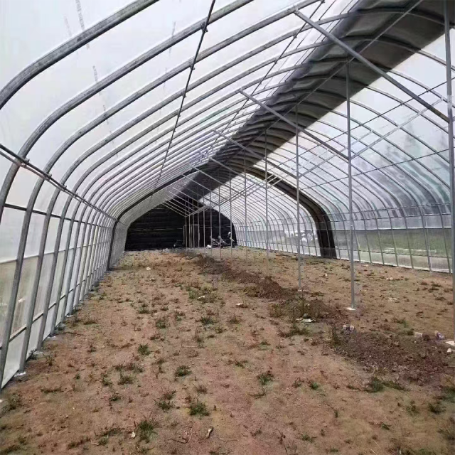 Arched Membrane Vegetable Greenhouse 6-10m Span for Commercial Crop Production