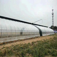 Arched Membrane Vegetable Greenhouse 6-10m Span for Commercial Crop Production