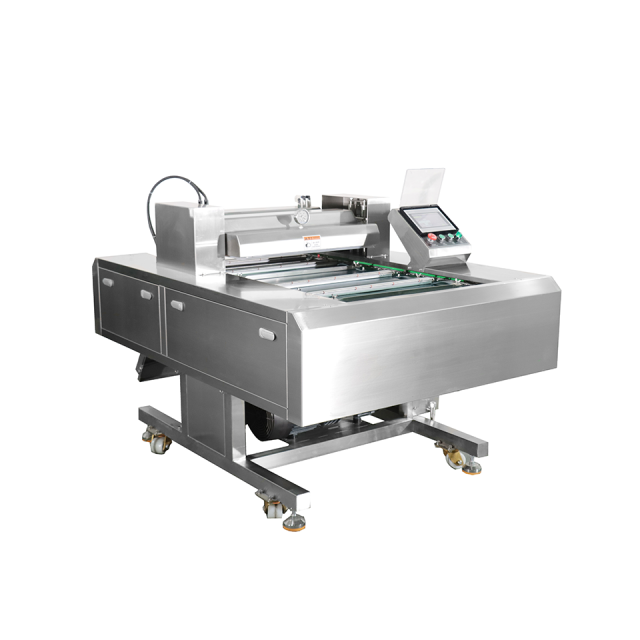 DZ-600 Double Sealed Continuous Belt Vacuum Packaging Machine