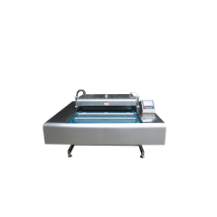 DZ-600 Double Sealed Continuous Belt Vacuum Packaging Machine