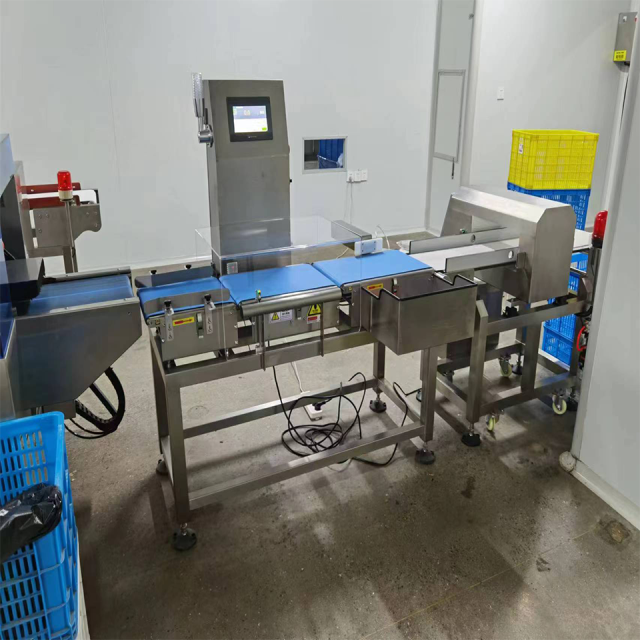 RD-A300 Automatic Checkweigher-10-3000g Bagged Food Products-SUS304 Food Grade