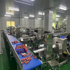 RD-A300 Automatic Checkweigher-10-3000g Bagged Food Products-SUS304 Food Grade