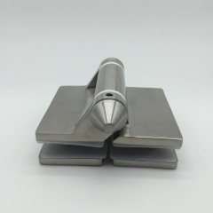 Spring Loaded Glass Pool Gate Hinge