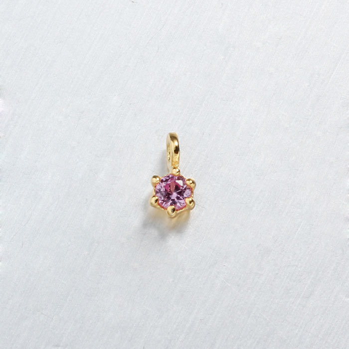 925 Sterling Silver CZ Charms