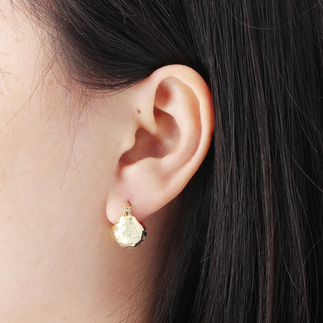 925 Sterling Silver Luxury Sparkling Earrings