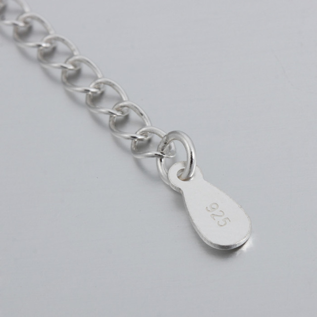 925 Sterling Silver Extender Chain With Drop Tag