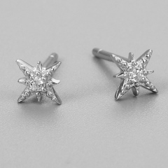 Renfook 925 Sterling Silver Star Stud Earrings