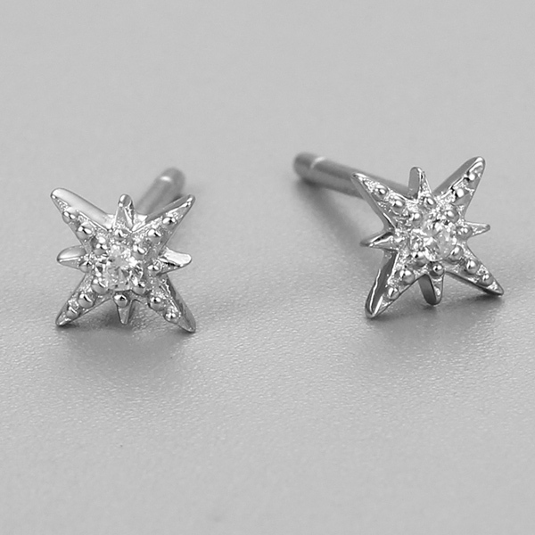 Renfook 925 Sterling Silver Star Stud Earrings