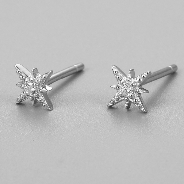 Renfook 925 Sterling Silver Star Stud Earrings