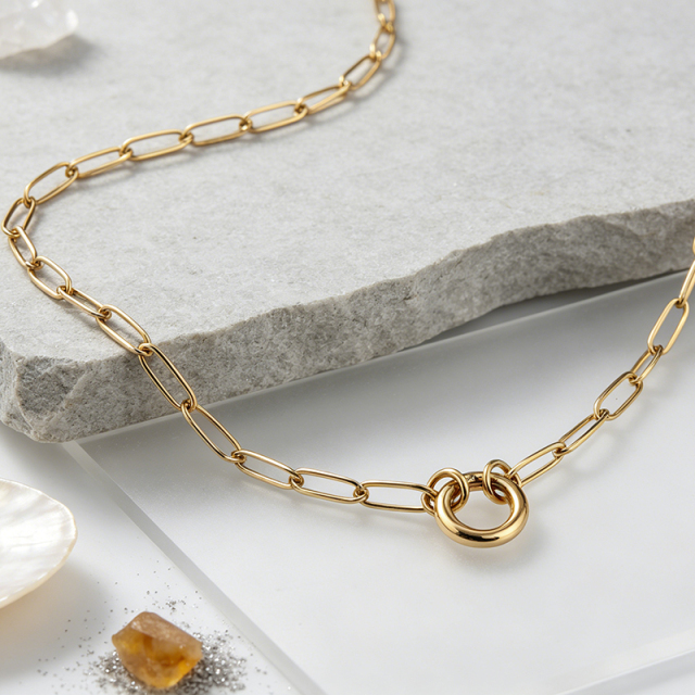 18K Gold PVD Plated Stainless Steel Interlock Circle Paperclip Necklace