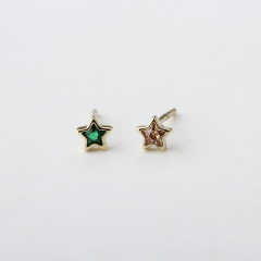 925 Sterling Silver Star Bezel CZ Stud Earrings