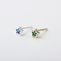 925 Sterling Silver Star Bezel CZ Stud Earrings