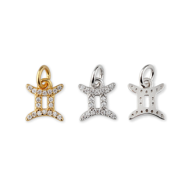 925 Sterling Silver 12 Constellation Zodiac Sign Pendant